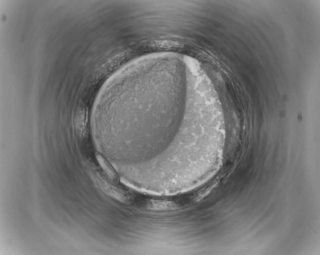 X0000085220605200704091934