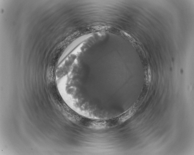 X0000085220606200704091934