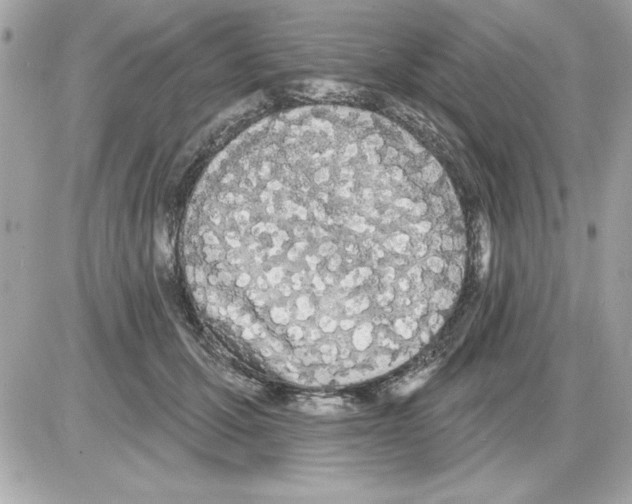 X0000085220607200704091934