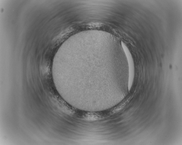 X0000085220608200704091933