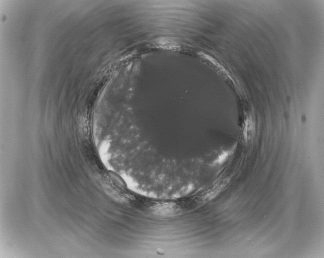 X0000085220609200704091933