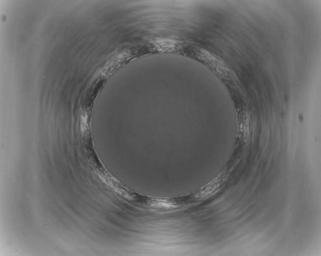 X0000085220610200704091933