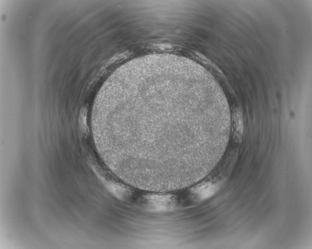 X0000085220615200704091933