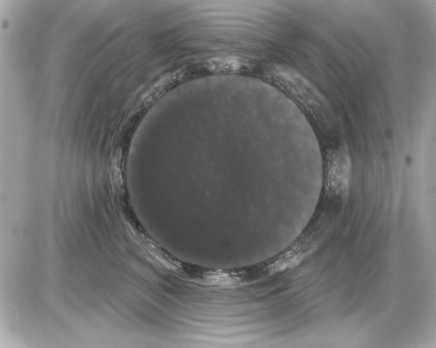 X0000085220616200704091933