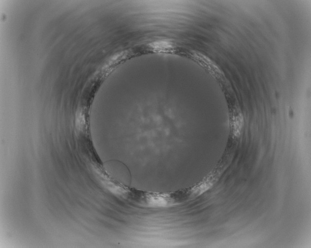 X0000085220618200704091933