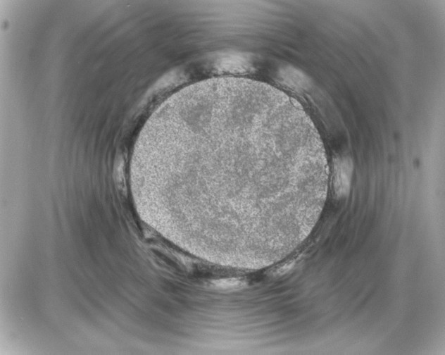 X0000085220619200704091933