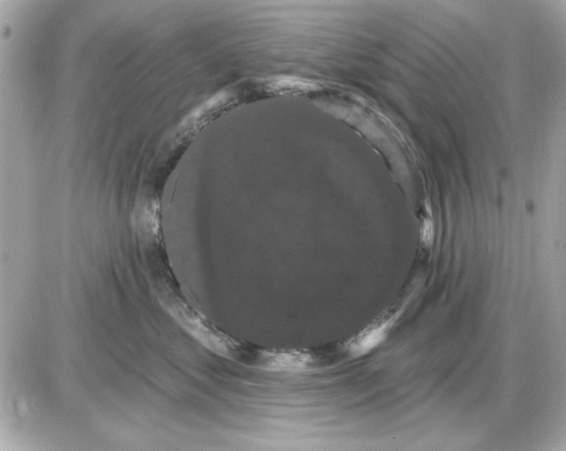 X0000085220621200704091933