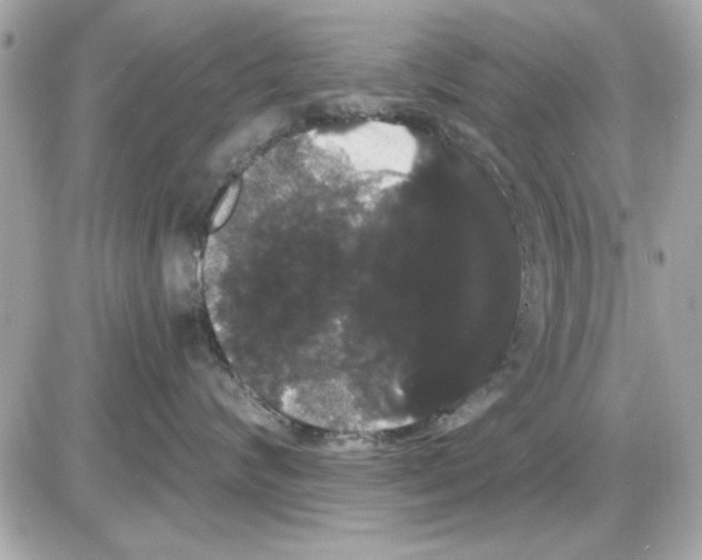 X0000085220624200704091933