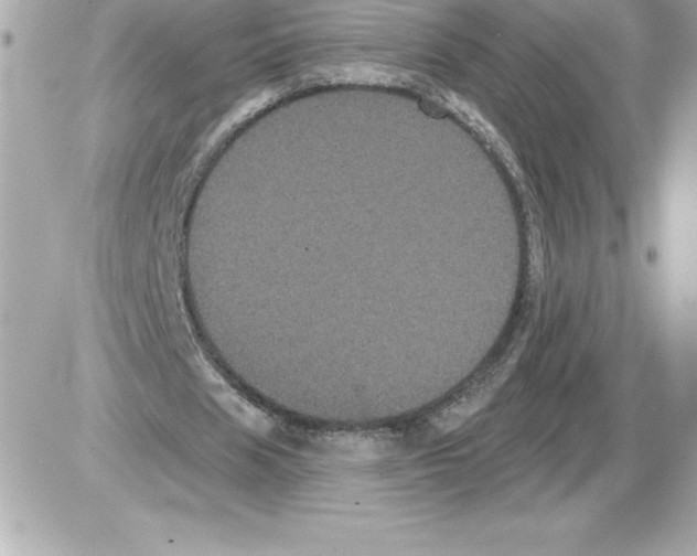 X0000085220625200704091932