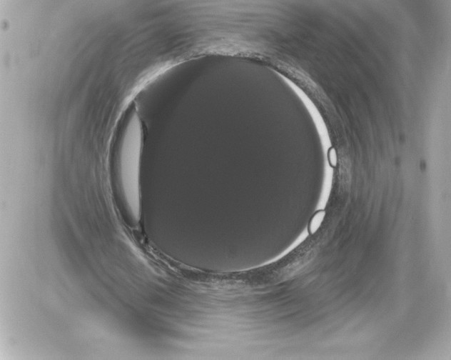 X0000085220626200704091932