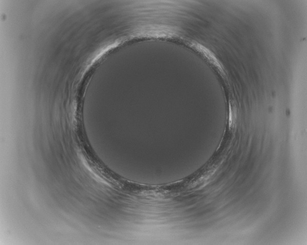 X0000085220627200704091932