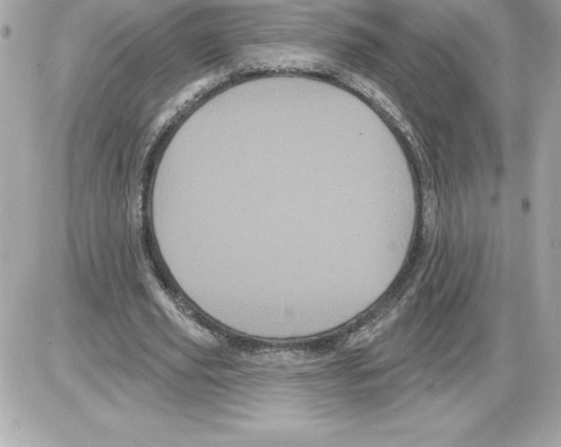 X0000085220629200704091932