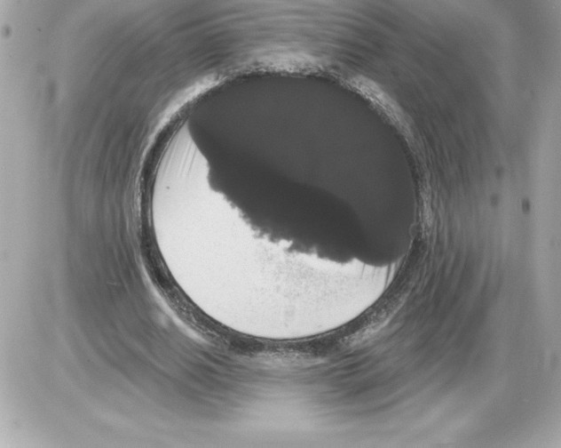 X0000085220630200704091933