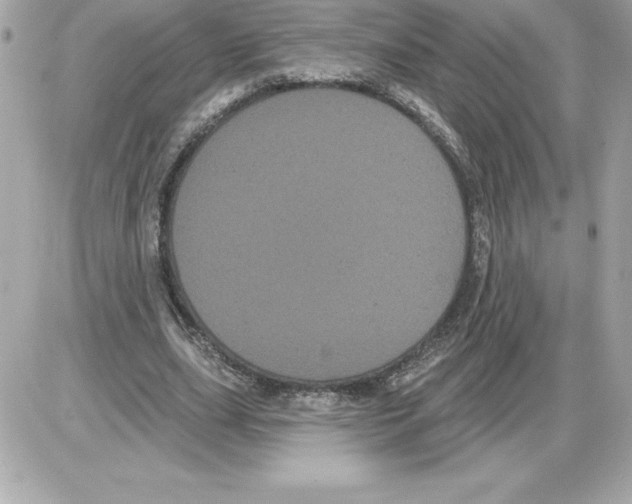 X0000085220631200704091933