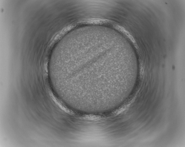 X0000085220633200704091933