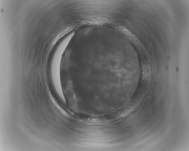 X0000085220634200704091933