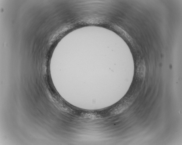 X0000085220635200704091933