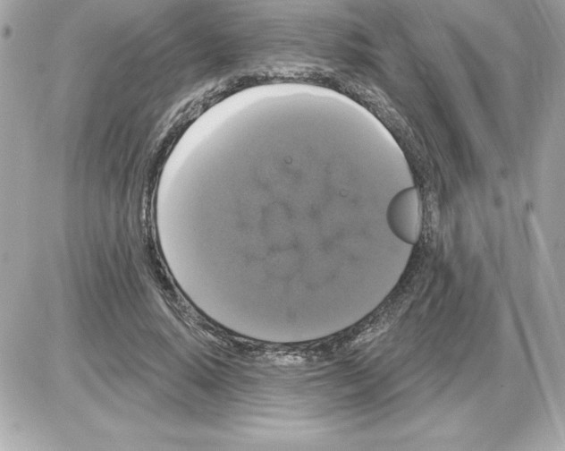 X0000085220640200704091933