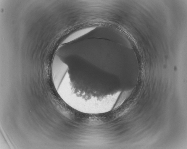 X0000085220641200704091933