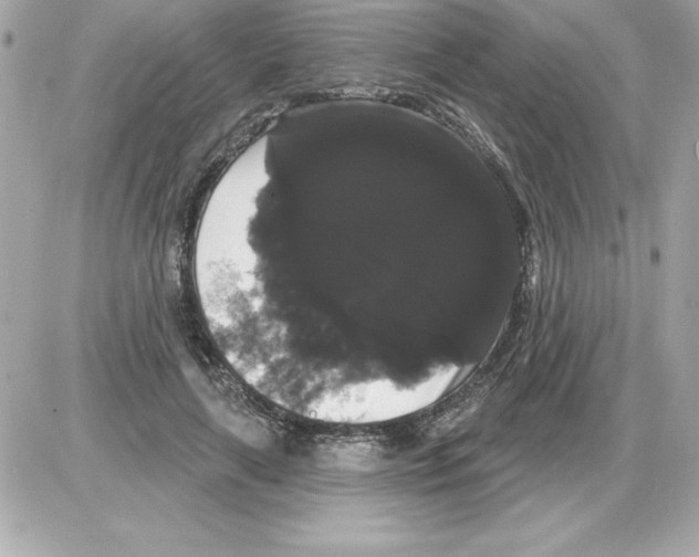 X0000085220643200704091933