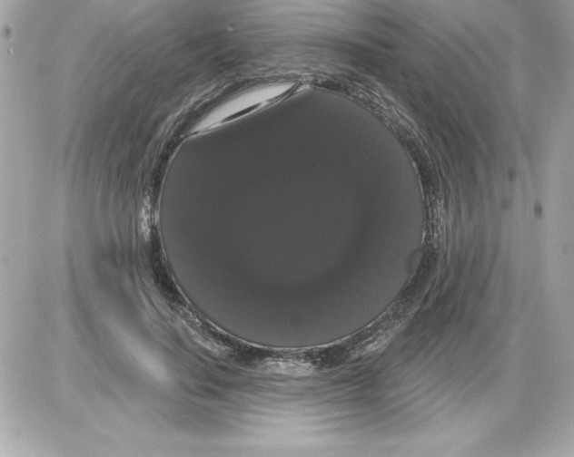 X0000085220644200704091933