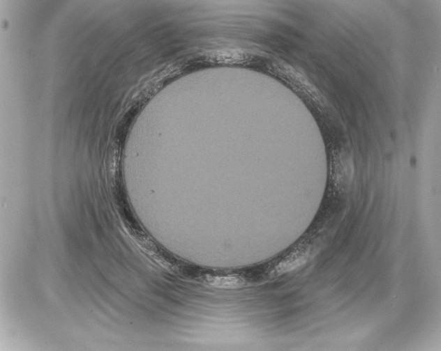 X0000085220645200704091933