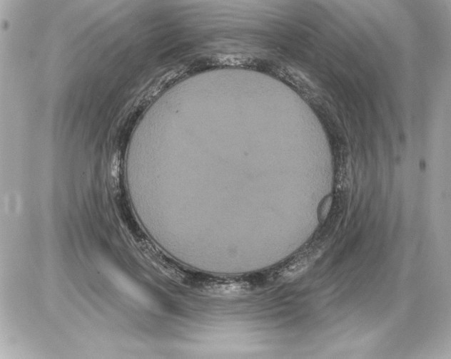 X0000085220646200704091933