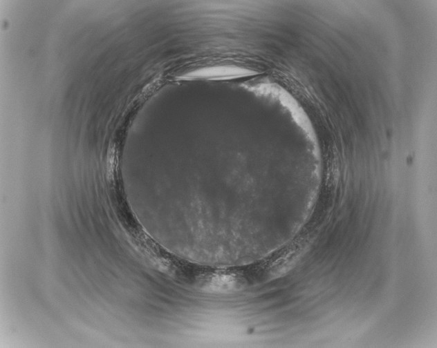 X0000085220647200704091933