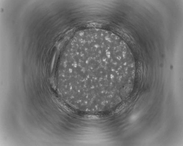 X0000085220649200704091933