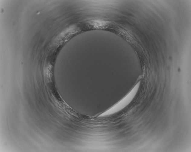 X0000085220650200704091933