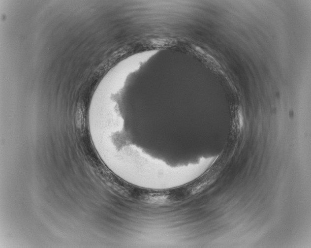 X0000085220651200704091933