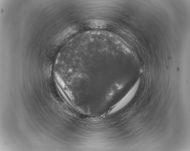 X0000085220652200704091933