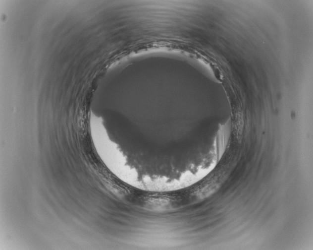 X0000085220653200704091933