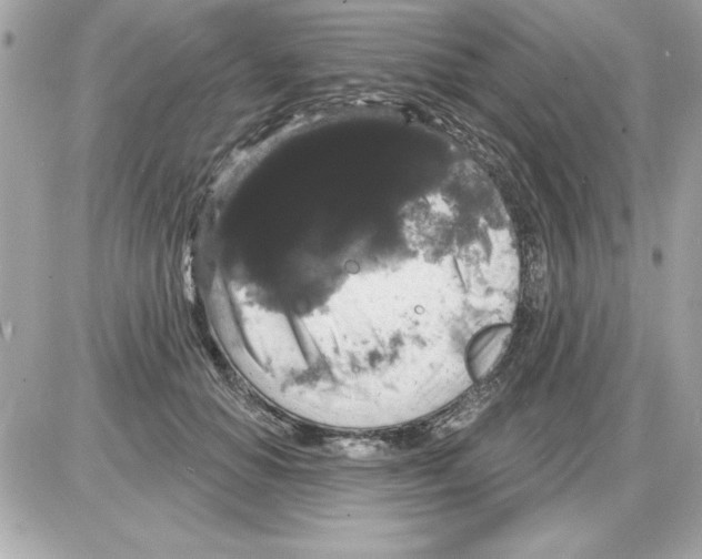 X0000085220654200704091933