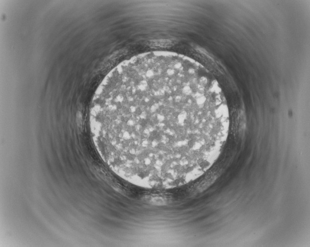 X0000085220655200704091933