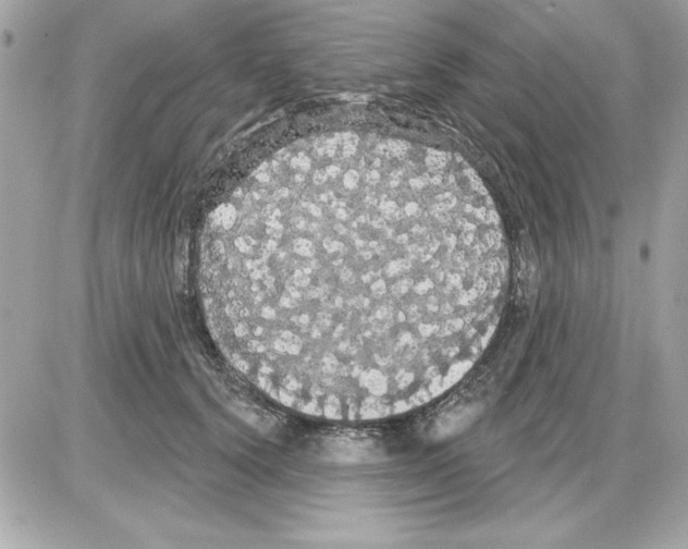 X0000085220656200704091933