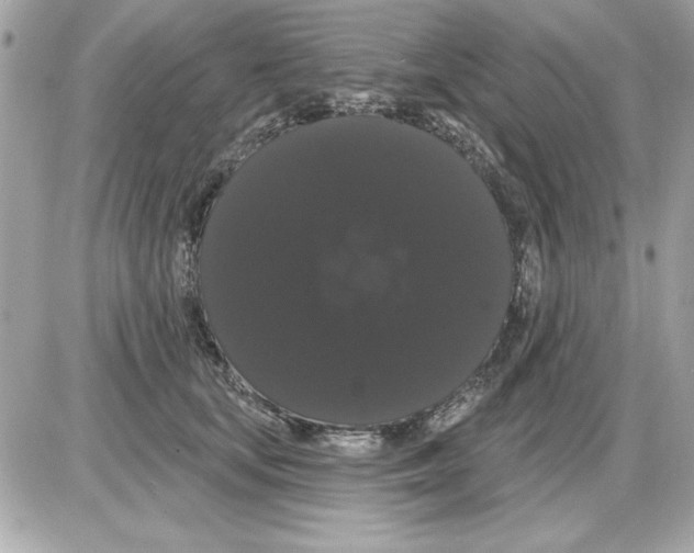 X0000085220659200704091933