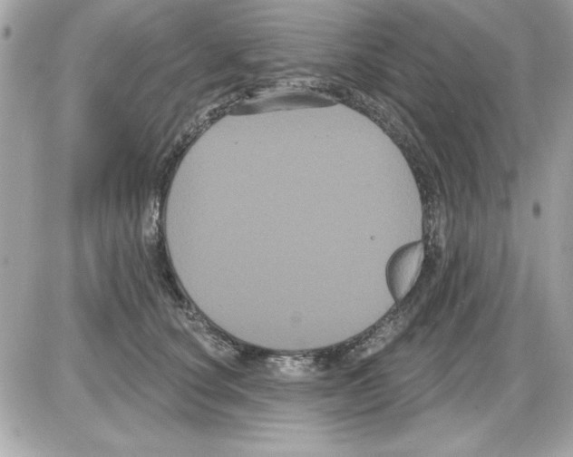 X0000085220660200704091933