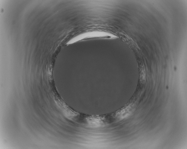 X0000085220661200704091933