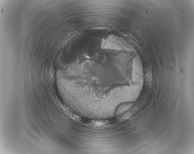 X0000085220662200704091933