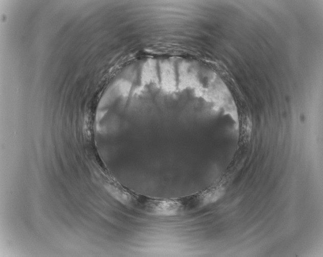 X0000085220663200704091933