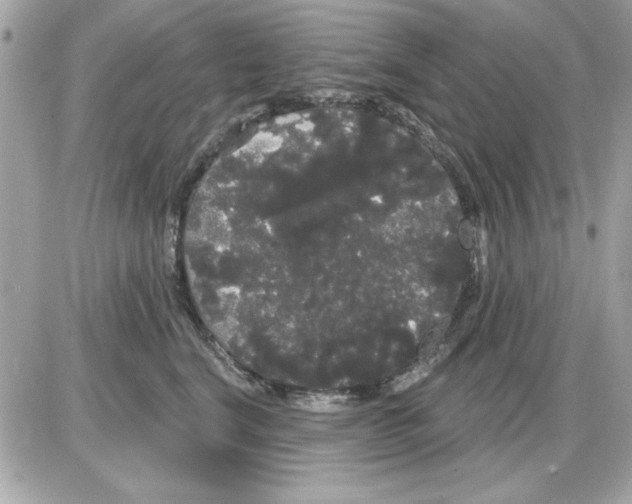 X0000085220664200704091933