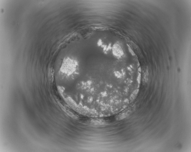 X0000085220666200704091933