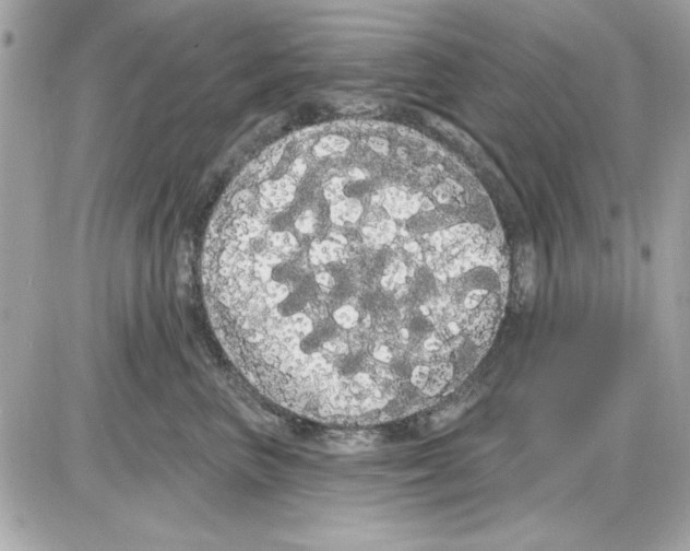 X0000085220667200704091933