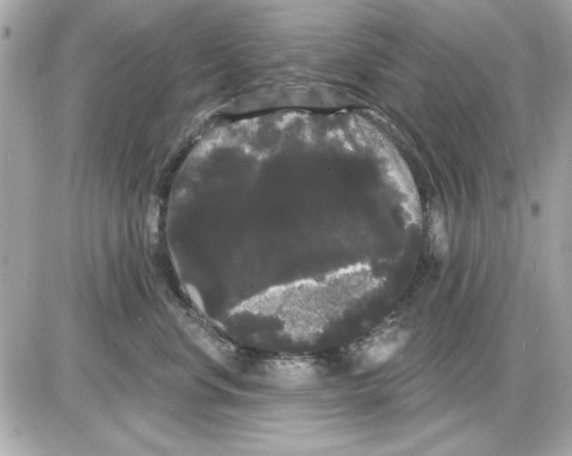 X0000085220668200704091933