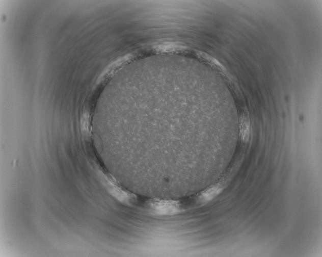 X0000085220670200704091933