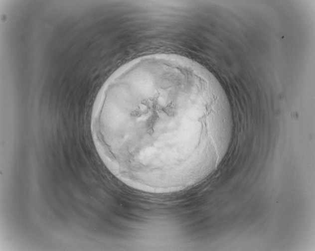 X0000085220672200704091933