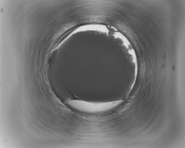 X0000085220673200704091932