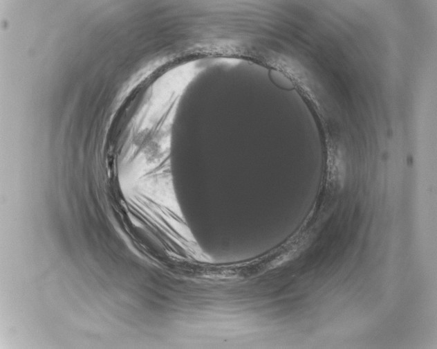 X0000085220674200704091932