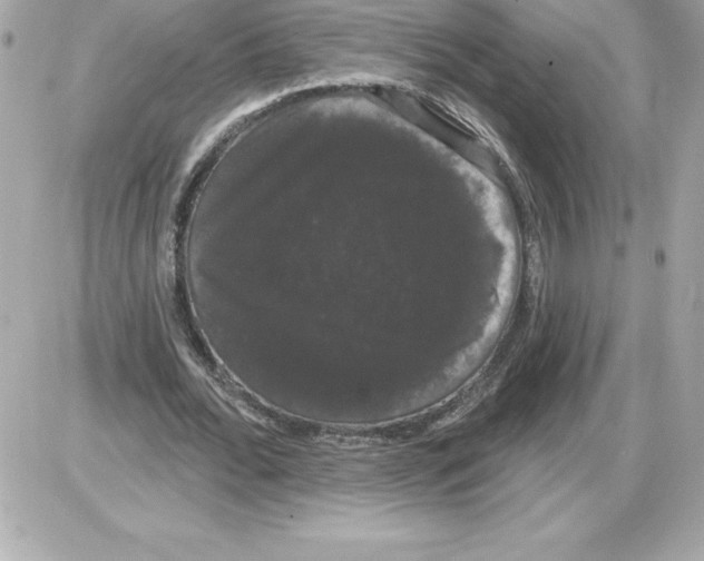 X0000085220676200704091932